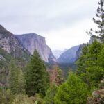 trump nominates hospitality executive to lead national park service 698e7582d225b