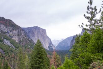 trump nominates hospitality executive to lead national park service 698e7582d225b