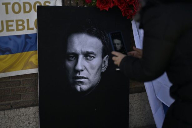 zeci de oameni s au adunat la mormantul lui navalnii din moscova mama cere justitie pentru fiul otravit 6992e69b6721a