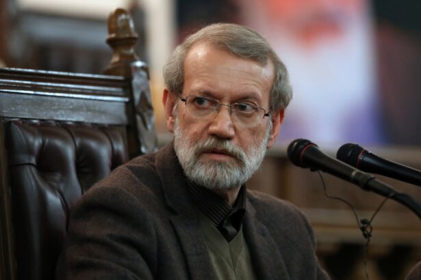 ali larijani was ruthless and clear eyed about wests implacable hostility to iran 69ba54bdd12a7