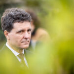 anul acesta este crucial nicusor dan dupa intalnirea cu oana gheorghiu la bruxelles 69c014fc18918