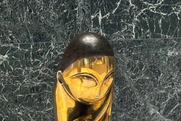 cea mai mare expozitie din europa dedicata lui brancusi s a deschis la berlin mesajul presedintelui romaniei 69be9a817e47a