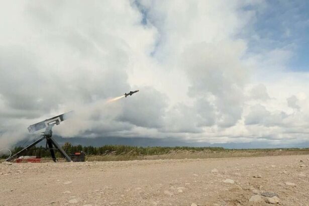 cursa inarmarilor in europa ce pregatesc doua companii din polonia si estonia 69c83aebd9e59