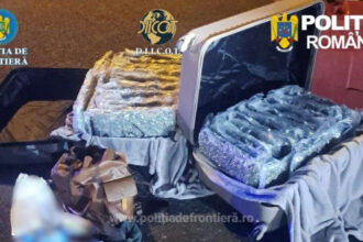 foto aproape 31 de kilograme de canabis descoperite la nadlac un italian a fost arestat preventiv 69c14c8fefc32