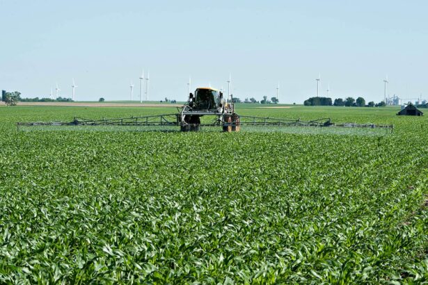 its not sustainable us farmers reeling as iran war pushes fertilizer costs up 69bd2c81e17cf