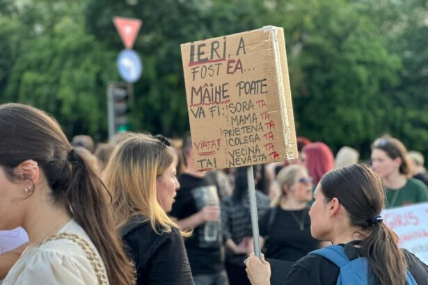 romania are oficial o lege a femicidului prea mult timp am ascuns aceasta realitate un singur deputat a votat impotriva proiectului 69c3e8d04a4f0