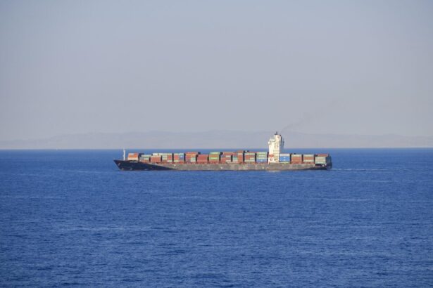 rusii folosesc grupuri inarmate pentru a si escorta navele aflate in apele internationale 69c41fd4064e4