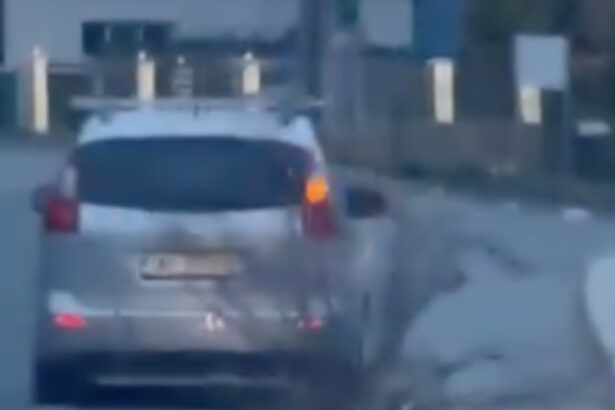 sofer din bistrita surprins in timp ce tara un trunchi de copac de 16 metri pe carosabil 69c788ed2b4cb