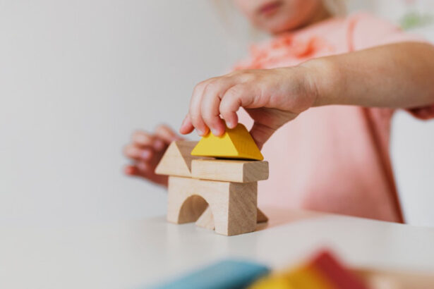 tichetele de cresa ar putea creste de la 710 la 740 de lei pe luna cand ar urma sa se aplice majorarea 69c6903a23350