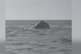 video acuzatii ale familiilor marinarilor dupa scufundarea remorcherului astana nava nu era autorizata pentru manevra 69be8b5bdf429