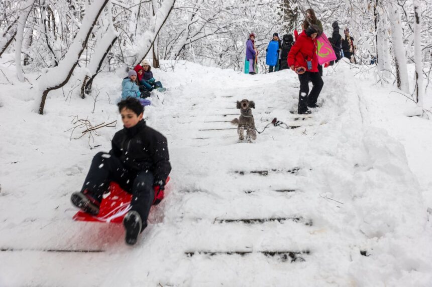 weather extremes gripping us bear climate crisis fingerprint experts say 69bfea6b732d9