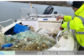 comisarii garzii de mediu au scos peste 6 kilometri de plase ilegale si sute de kilograme de peste braconat din ape 69d3f2d2bd1ad