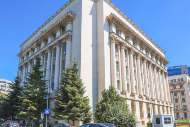 guvernul a aprobat modernizarea anofm 600 de posturi noi si servicii mai aproape de romani anunta ministrul muncii 69d7d123c4449