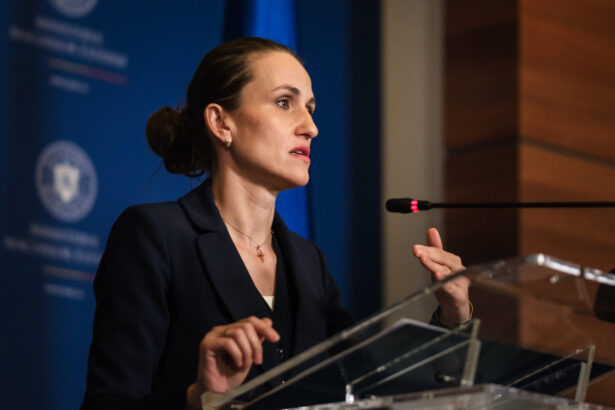 oana toiu a discutat cu viitoarea ministra de externe a ungariei 69dd3478156e0