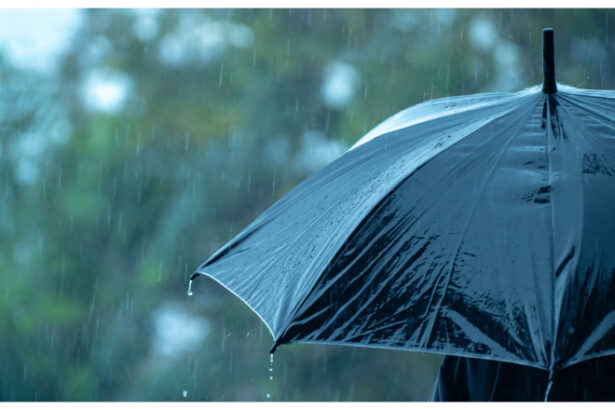 ploi grindina si lapovita la altitudini mari cum va fi vremea in bucuresti in urmatoarele zile 69ce111722088