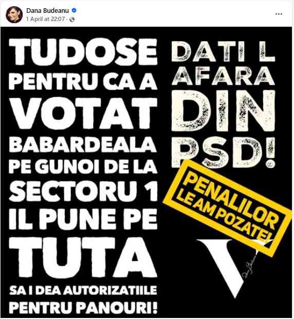 postare dana budeanu