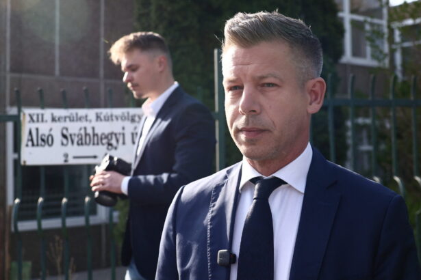 primele declaratii ale lui peter magyar dupa inchiderea urnelor ungaria a scris din nou istorie 69dbdf6e85222