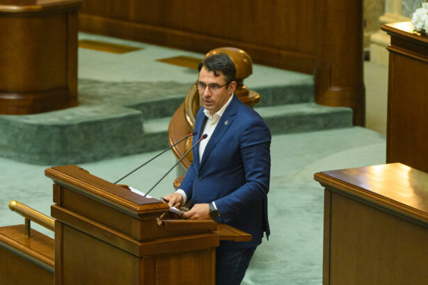 stefan palarie dupa alegerile parlamentare din ungaria avem de invatat din procedura de organizare 69de1b4ec204b