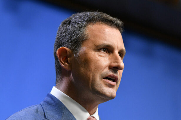 tanczos barna a transmis felicitari lui peter magyar dupa rezultatul alegerilor din ungaria nu ma asteptam la o asemenea victorie dominanta 69dc9fb6b656b