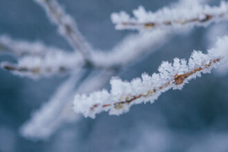 val de frig in maramures temperaturi de 13 grade la munte si pagube in livezi din cauza inghetului 69d8ab1e59889