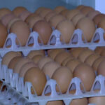 video alerta sanitara in prag de sarbatori 15 milioane de oua care ar fi contaminate cu salmonella retrase de la vanzare 69da1afa6a350