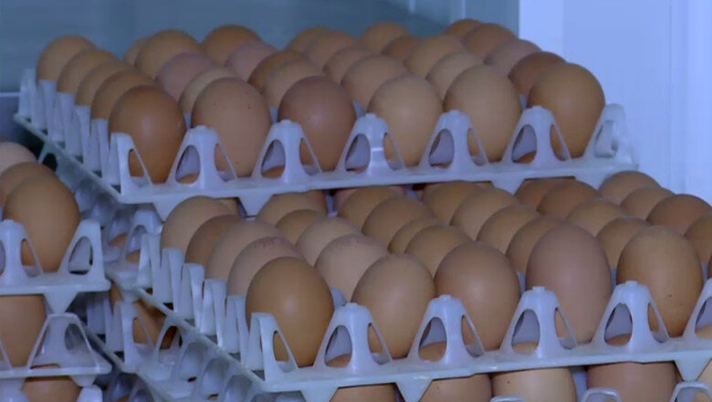 video alerta sanitara in prag de sarbatori 15 milioane de oua care ar fi contaminate cu salmonella retrase de la vanzare 69da1afa6a350