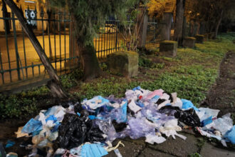 videofoto deseuri medicale aruncate in parcul cismigiu o clinica stomatologica din bucuresti a fost amendata cu 70 000 de lei 69d3cb01bc936