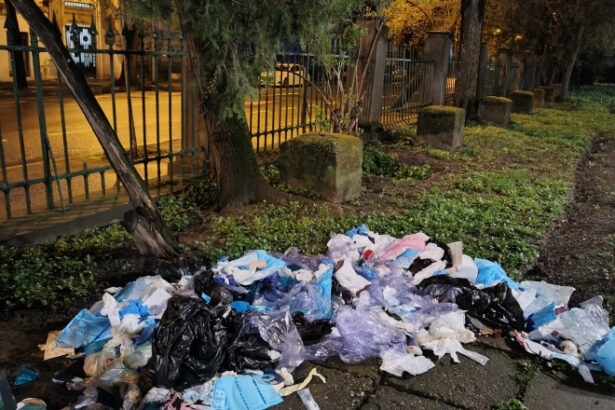 videofoto deseuri medicale aruncate in parcul cismigiu o clinica stomatologica din bucuresti a fost amendata cu 70 000 de lei 69d3cb01bc936